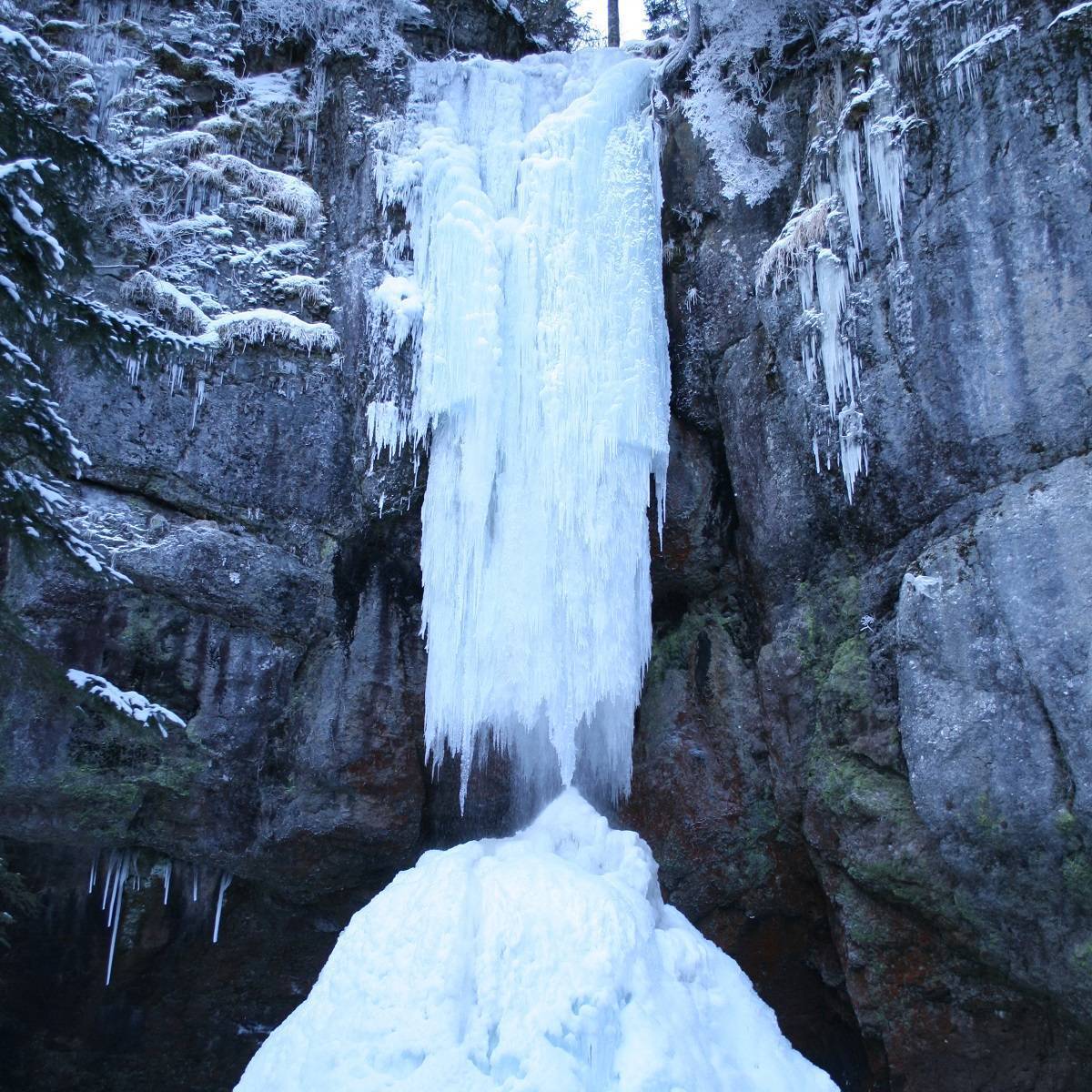 「山彦の滝」結氷初日当てクイズ